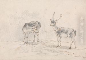 Doe and Buck Doe and Buck