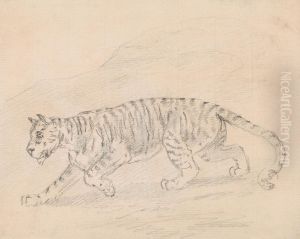 Tiger by Sawrey Gilpin