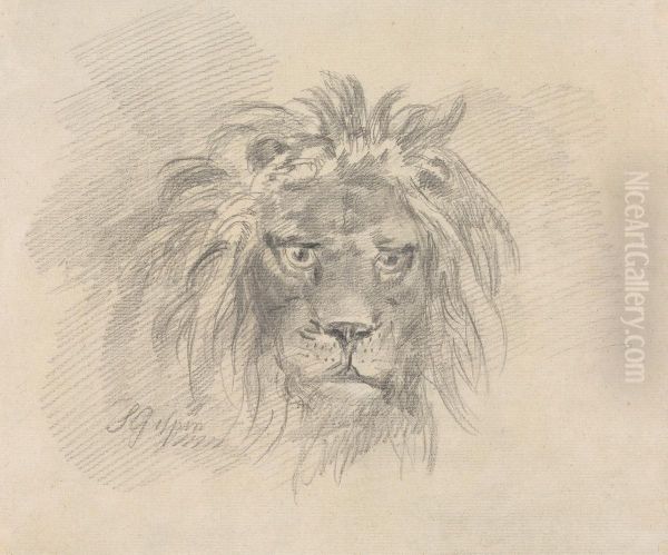 Head of a Lion - view 1