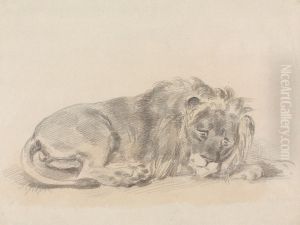 Lion Lying Down