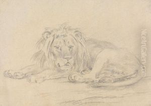 Lion Lying Down by Sawrey Gilpin