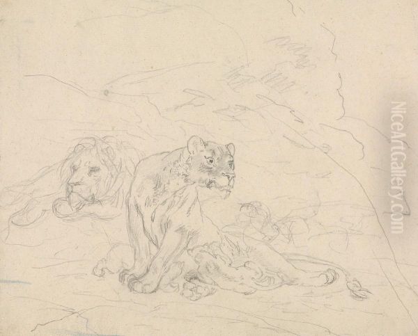 Lion Family - view 1