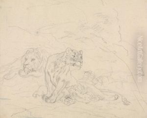 Lion Family Lion Family
