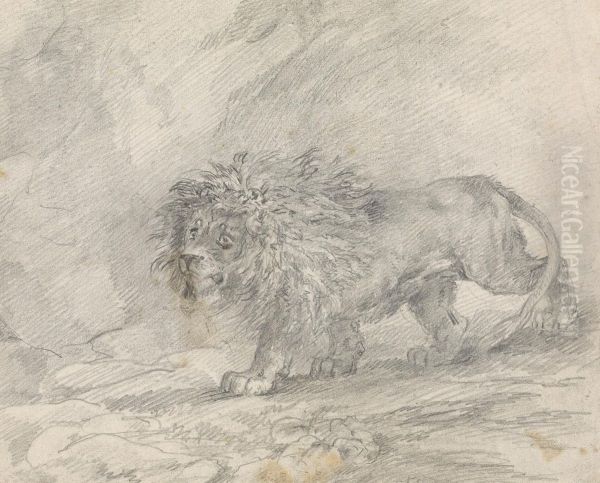 Lion Walking in Rocky Landscape - view 1