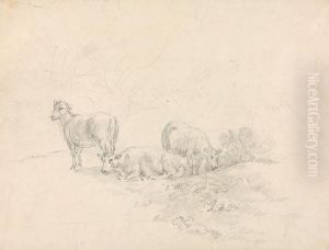 Three Sheep Three Sheep