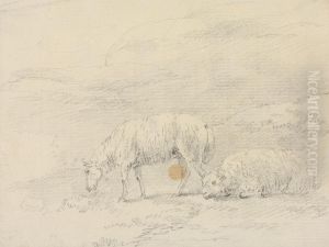 Two Sheep Two Sheep