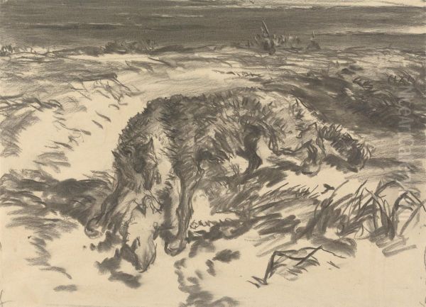 Fox Attacking a Sheep - view 1