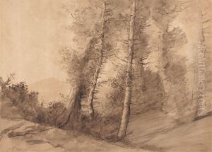 In the Skirts of the Forest