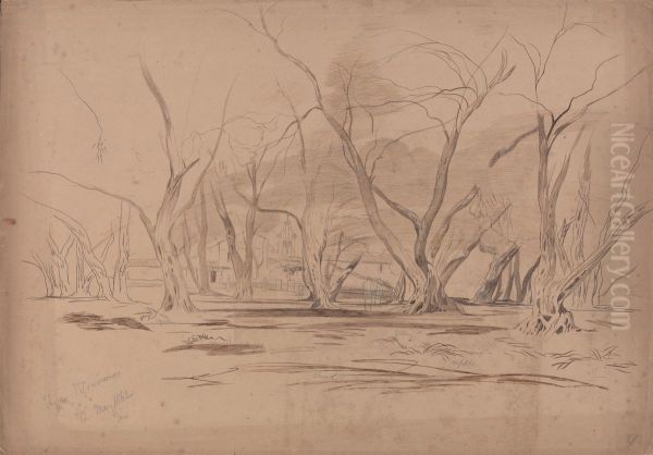 Agios Prokopios, Corfu, 12 May 1862 - view 1