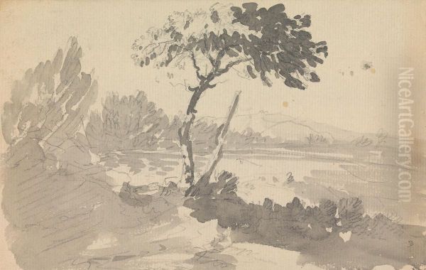 Tree and Lake - view 1