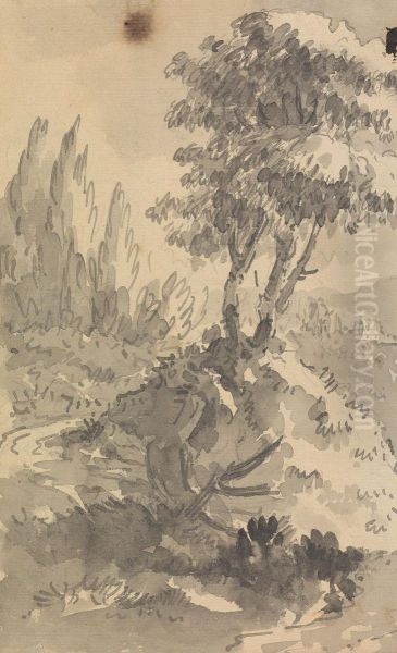 Landscape - view 1