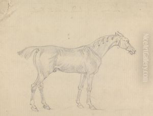 A Horse A Horse