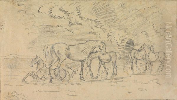Horses in a Meadow - view 1