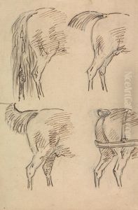 Four Sketches of Hind Quarters of Horse