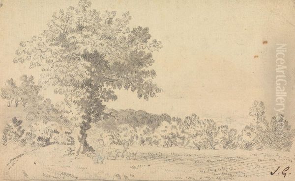 Landscape with Deer - view 1