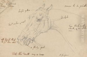 Lord Wennan's Mare Flora by Sawrey Gilpin