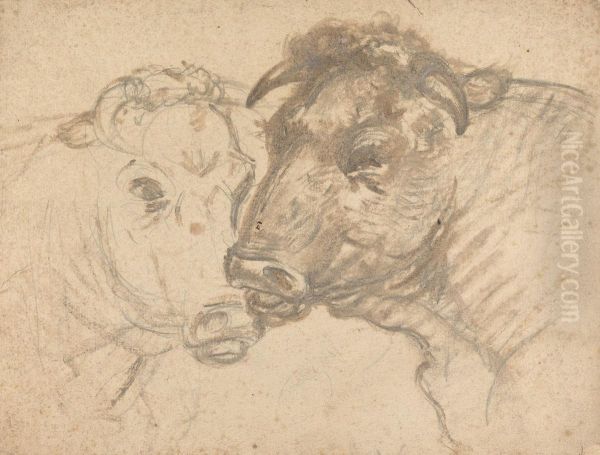 Two Bulls - view 1