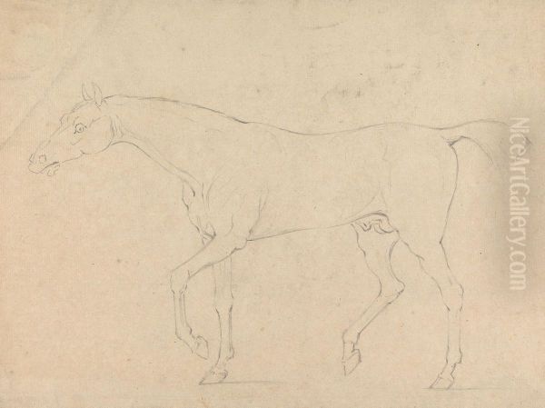 A Horse - view 1