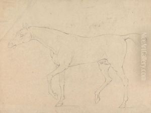 A Horse