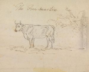 The Free-Martin