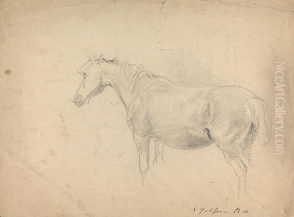 Sketch of a Horse - view 1