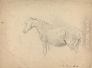 Sketch of a Horse by Sawrey Gilpin
