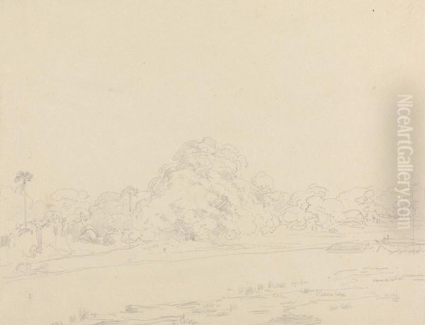Landscape - view 1