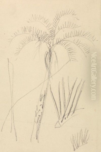 Tree Sketch - view 1