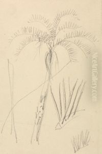 Tree Sketch by Thomas Daniell