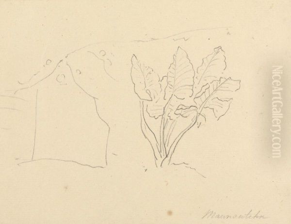 Maunoutehn - view 1