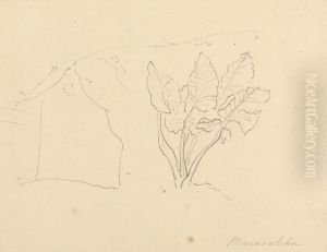 Maunoutehn by Thomas Daniell