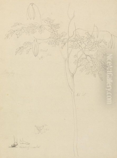 Bongley - view 1