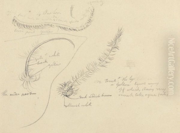 Sketches - view 1