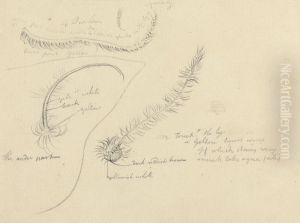 Sketches by Thomas Daniell