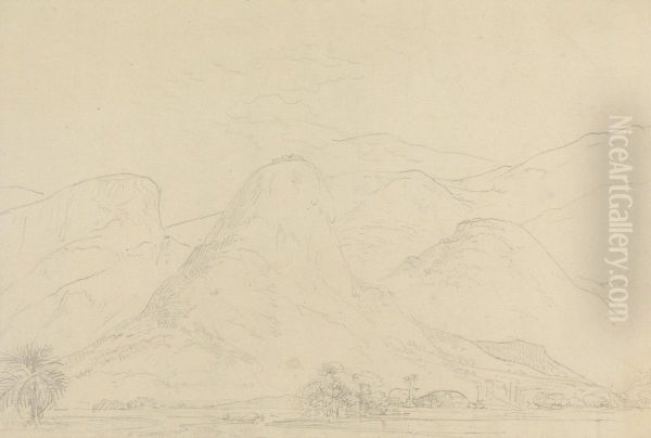 Landscape - view 1