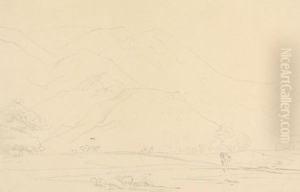 Landscape - view 1