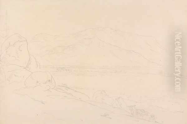 Landscape - view 1