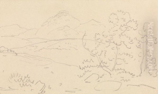 Landscape - view 1
