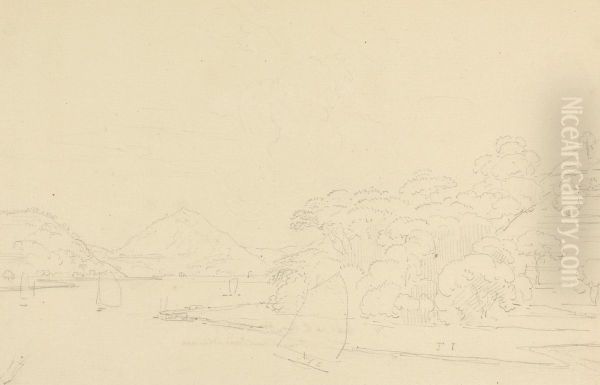 Dane's Island - view 1