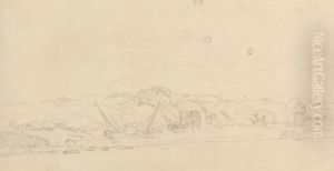Shoreline Landscape Shoreline Landscape