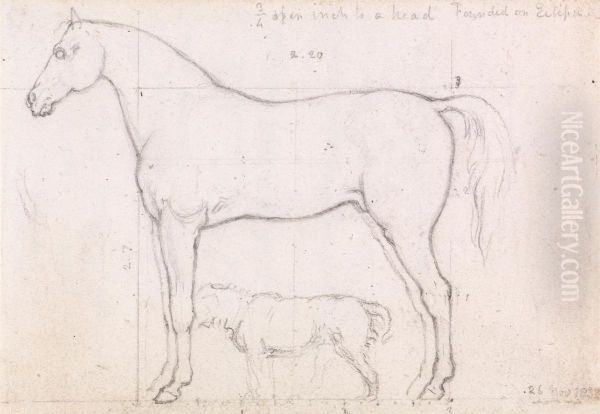 Anatomical Study of a Horse, Founded on `Eclipse', Nov. 26, 1832 - view 1