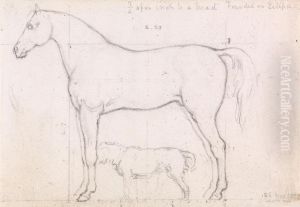 Anatomical Study of a Horse, Founded on `Eclipse', Nov. 26, 1832 by William Mulready