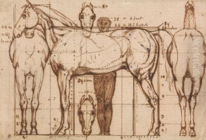 Anatomical Study of a Horse by William Mulready