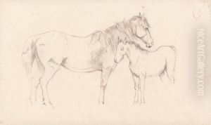 Mare and Foal Mare and Foal