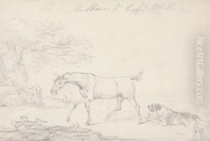 Horse and Dog Horse and Dog
