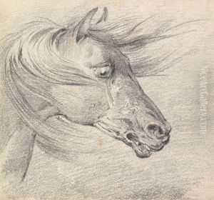 Head and Neck of a Horse in Fear or Exhaustion, Mane Swept Forwards, Profile Right Head and Neck of a Horse in Fear or Exhaustion, Mane Swept Forwards, Profile Right