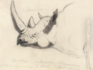 Head and Shoulders, Facing Left