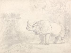 A Rhinoceros Standing on a River Bank
