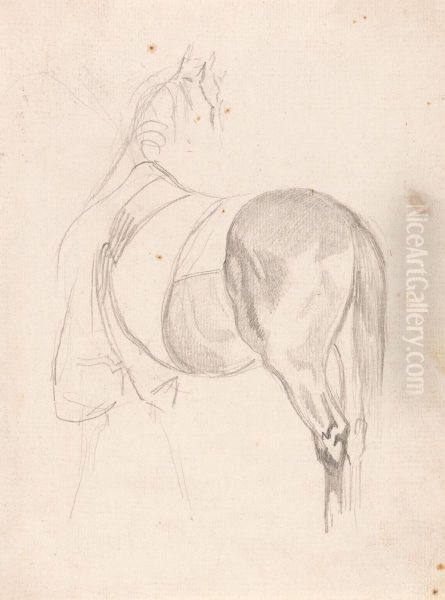 A Horse Standing, Head Turned, Wearing Quarter Sheet - view 1