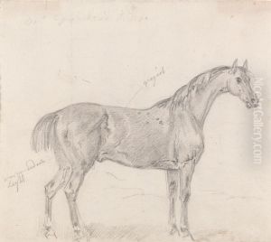 Horse Standing, Side View Facing Right by Sawrey Gilpin
